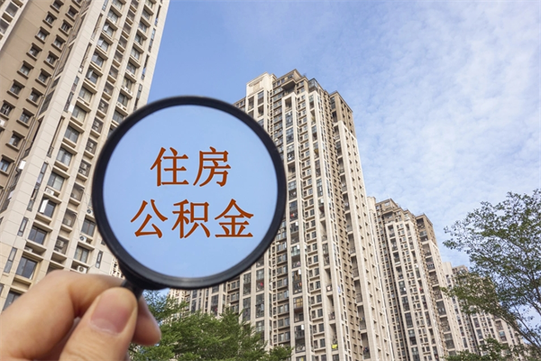 文山租房的怎么提取住房公积金（文山租房子如何提取住房公积金怎么提取）